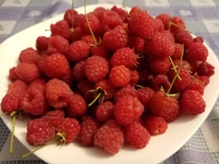 Почему замороженная малина превращается в ледяной комок: 3 ошибки, которые допускает большинство хозяек