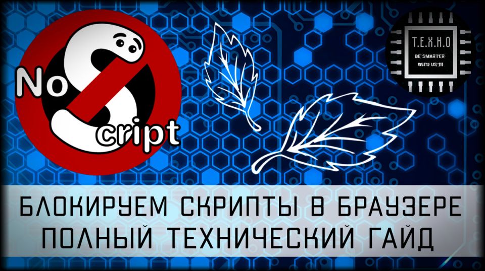 NoScript:          