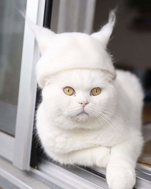  :         