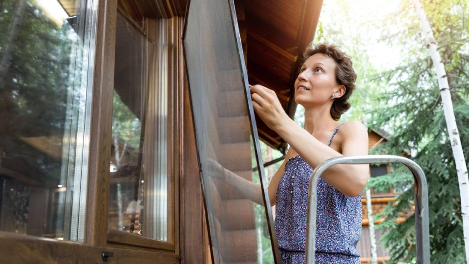 Москитная сетка перестанет быть грязным пылесборником: раз в неделю делайте вот что