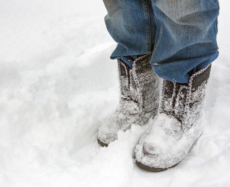 Необычное зимнее заботы: стоит ли утаптывать снег вокруг деревьев?