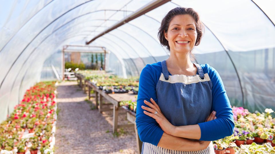 Вредители в теплице попадают замертво: обработайте этим настоем и смело сажайте овощи