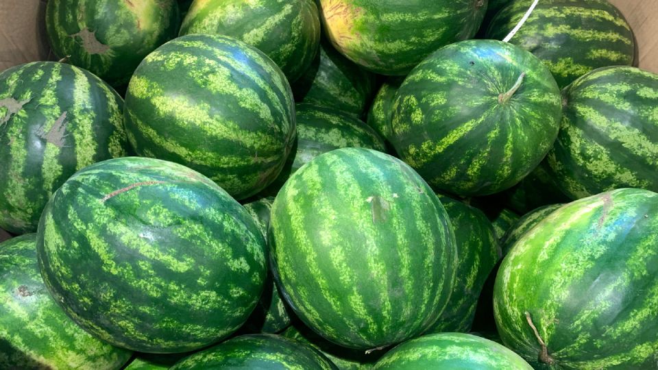 Как выбрать идеальный арбуз в 2025 году