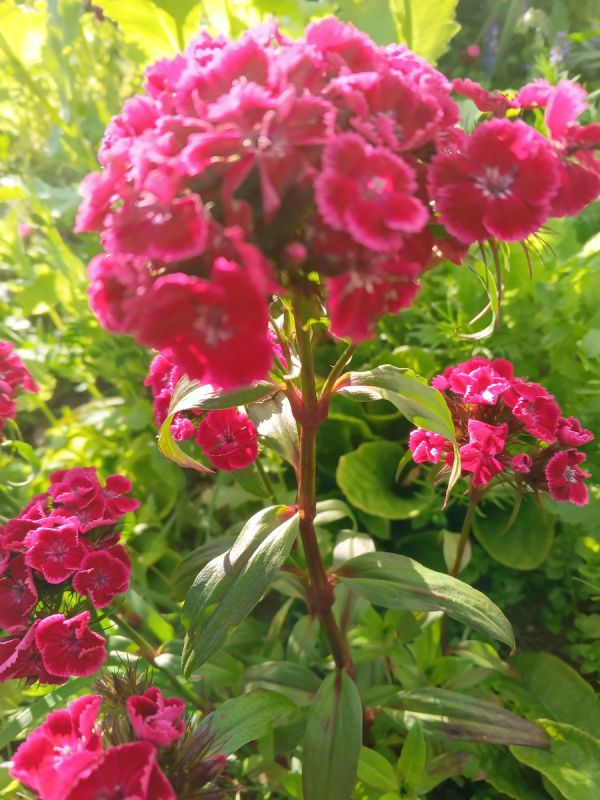 Почему морщины не стоят слез: принимаем возраст с гордостью