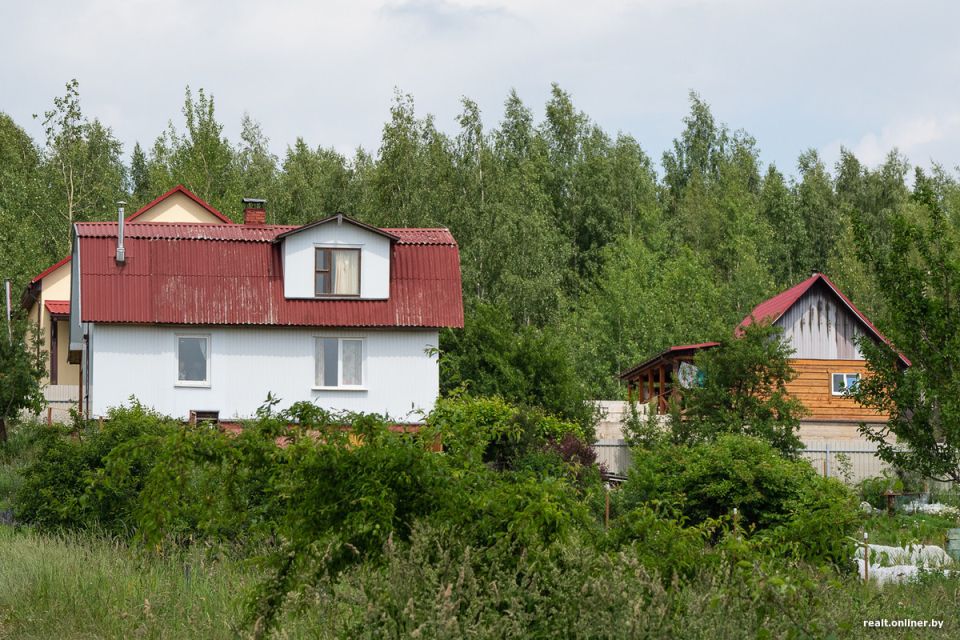 Как справиться с шумными соседями на даче: не оставляйте свои права без защиты