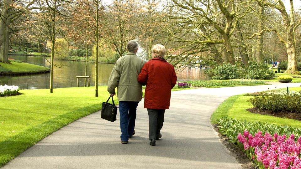 Доктор Мясников назвал самое эффективное средство от варикоза