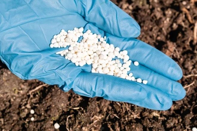 Как сохранить удобрения до весны: советы для огородников