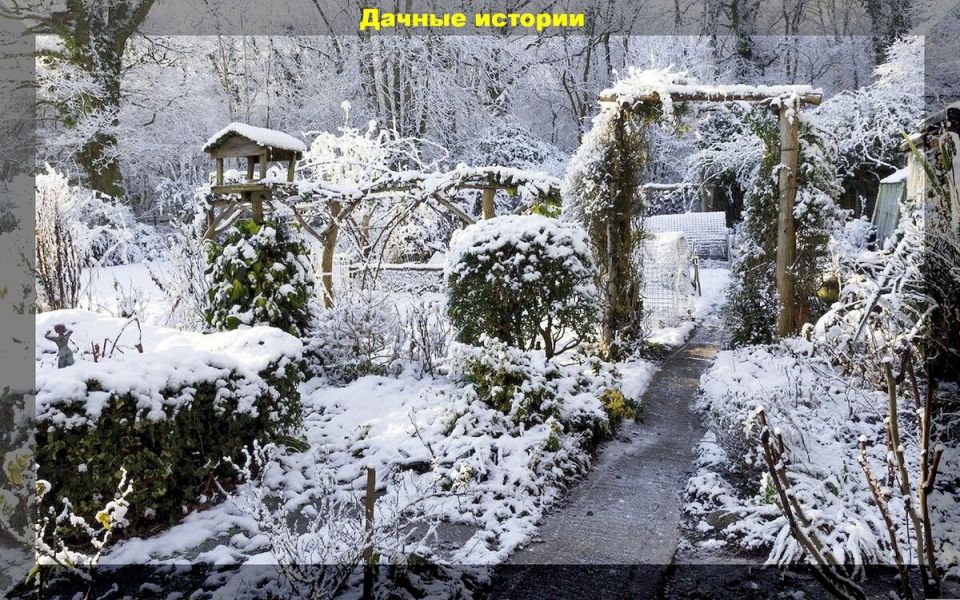 Ноябрьские заботы дачников: что необходимо сделать до зимы