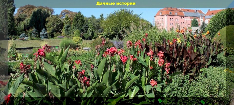 Природная красота Вроцлава