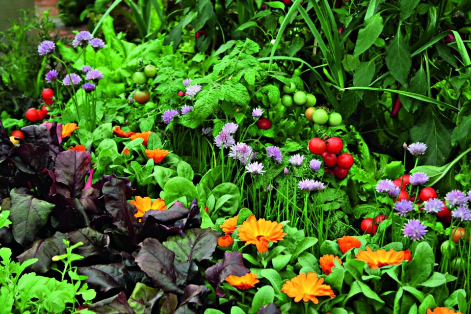 ��� ����� ����� �� ������� ����������: �������� ������ ��� ���������