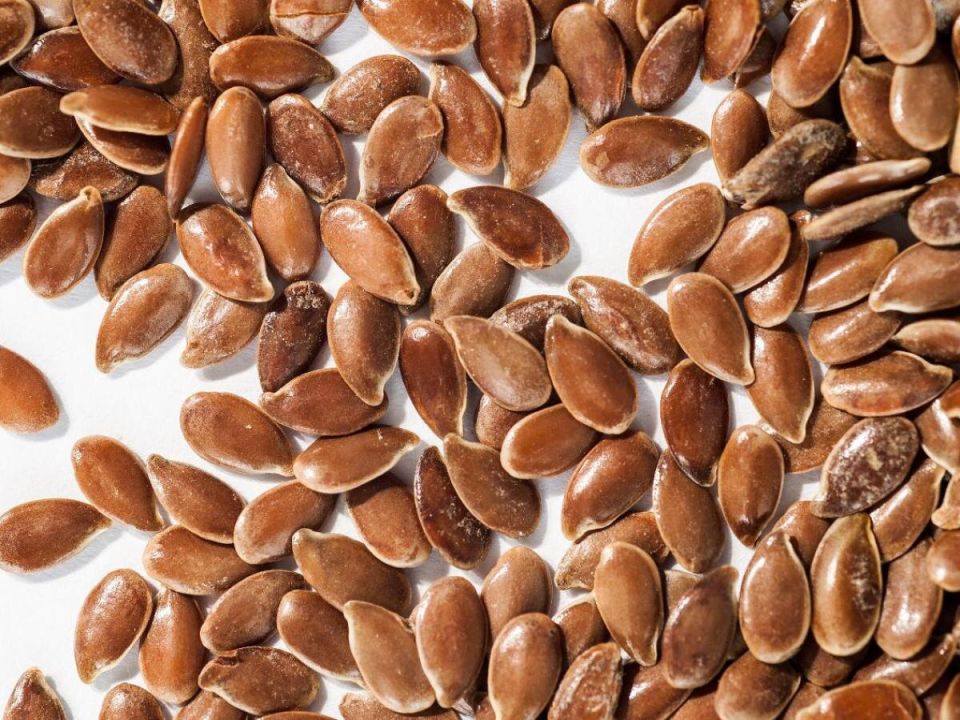 ������� ������������ ������������ �����: ������ ��� ��������� ���������