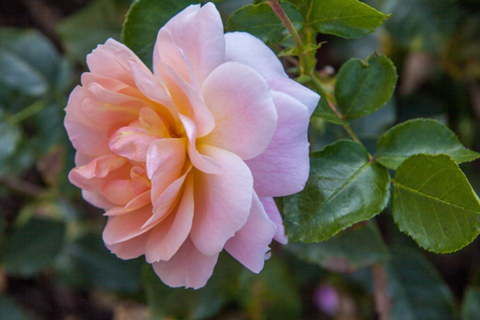 ����������� ��������� ���: ������� ����� ��� ������� �������� � ��������� ������