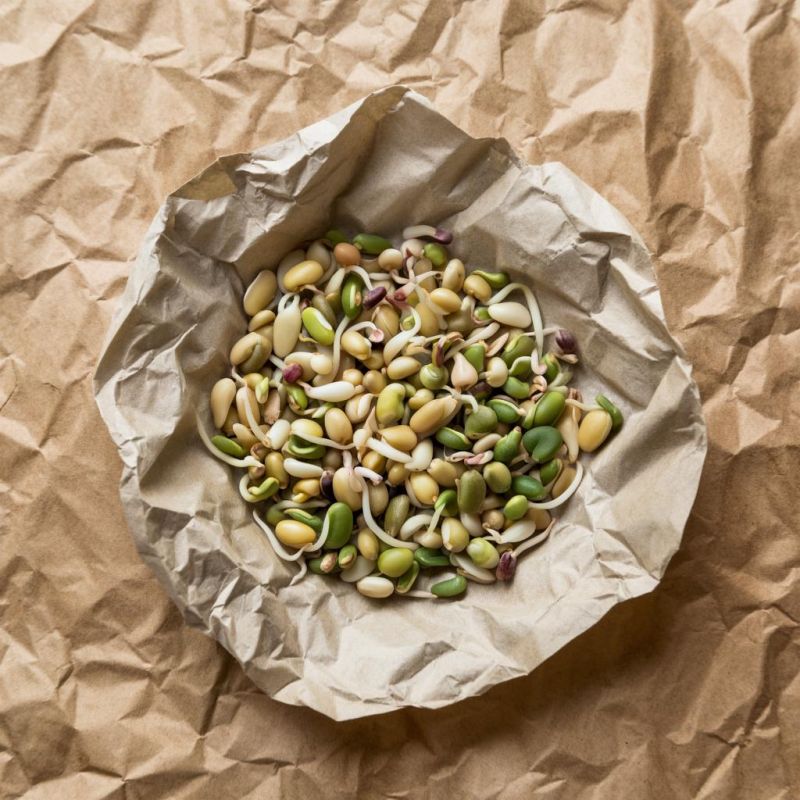 ��� �������� ������: ������� ������������� ������������ �����