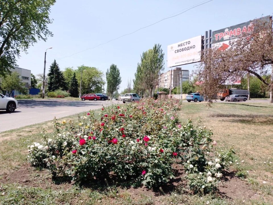 ����� �� ���������� ��������������: ��������� � ������