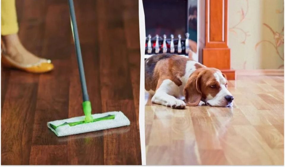 ��� ������� ����� ������� �������: ������� ������ � �������� ��������