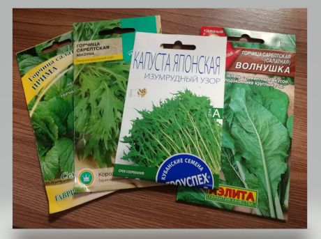 Как запутаться в мизуне и мицуне: разложим понятия по полочкам