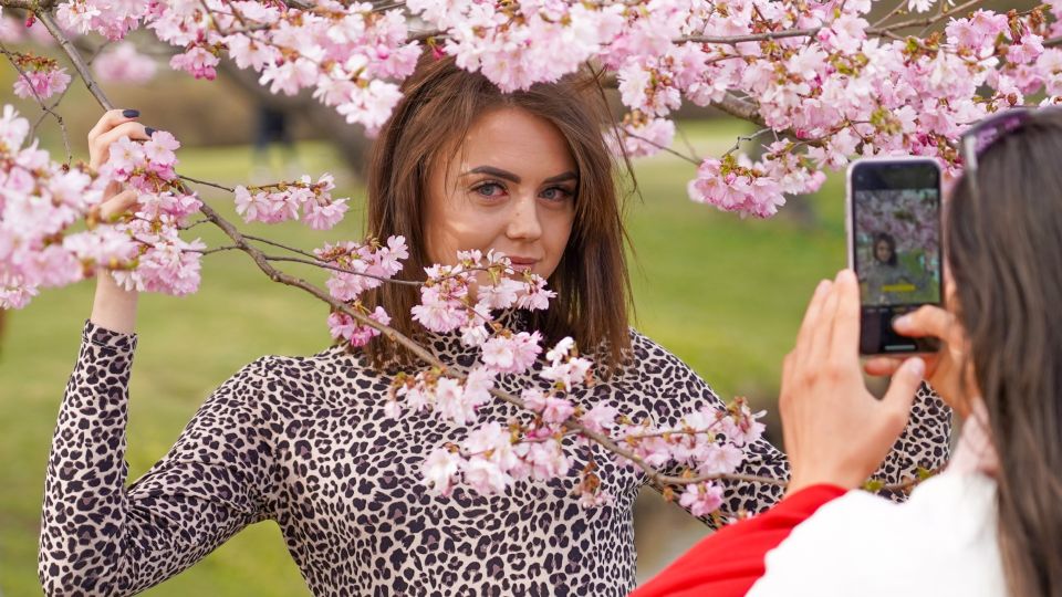 � ������ ����! ������� ����� ���������������� ������ ������ �� ����� ���������