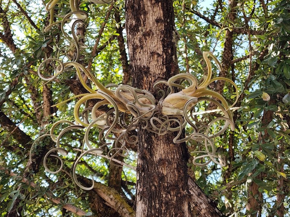 ���������� � ����� �������: ����������� ����� � ����-���������