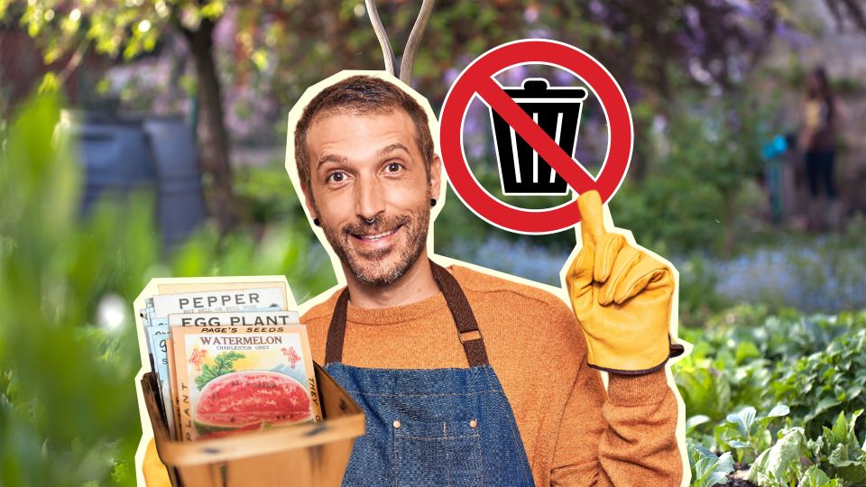 �� ������� ����������� ������������ ������: ����� ����� ����, � ��� ������