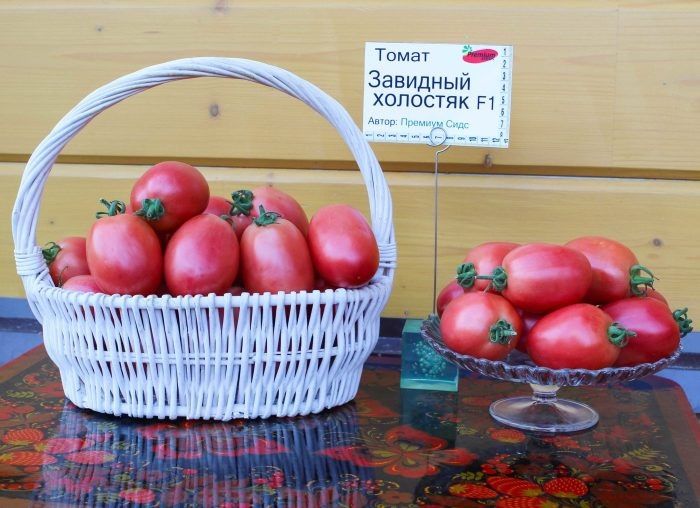 ����� �������� ��������: ��������� ����� ��� ����������� � �� ������