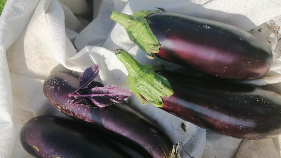 ��������� ������: ��� ����� ����� ���������� �������� ������ � ��������������