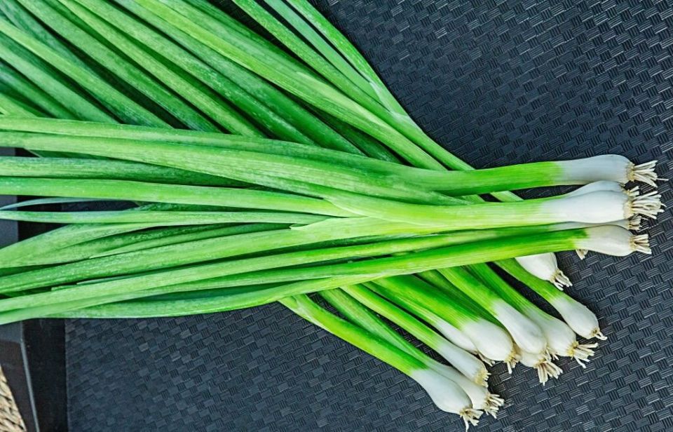 ��� ��������� ���-�����: ������� ������� ��������� ������