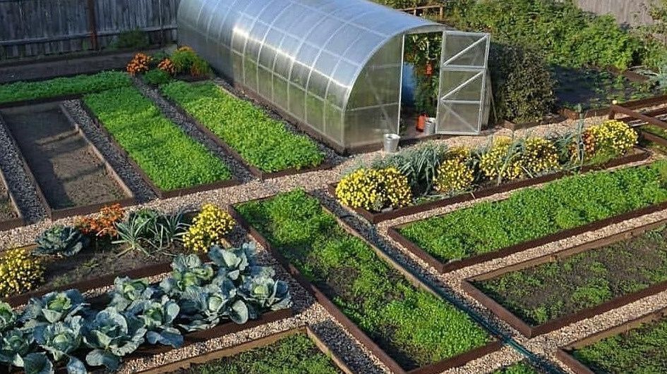 ��� ������� ������� ������ ������� ������� ��� �������: ����������� ������