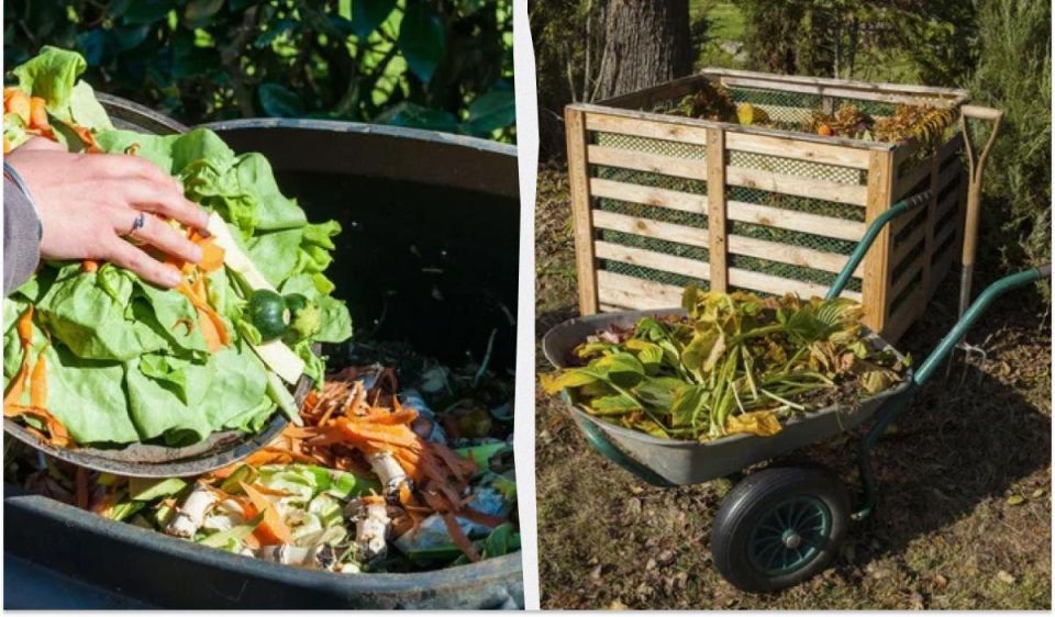 5 �������� � �������, ������� �� ����� ������ � �������: ����������� � �������� ������� ������ ���������