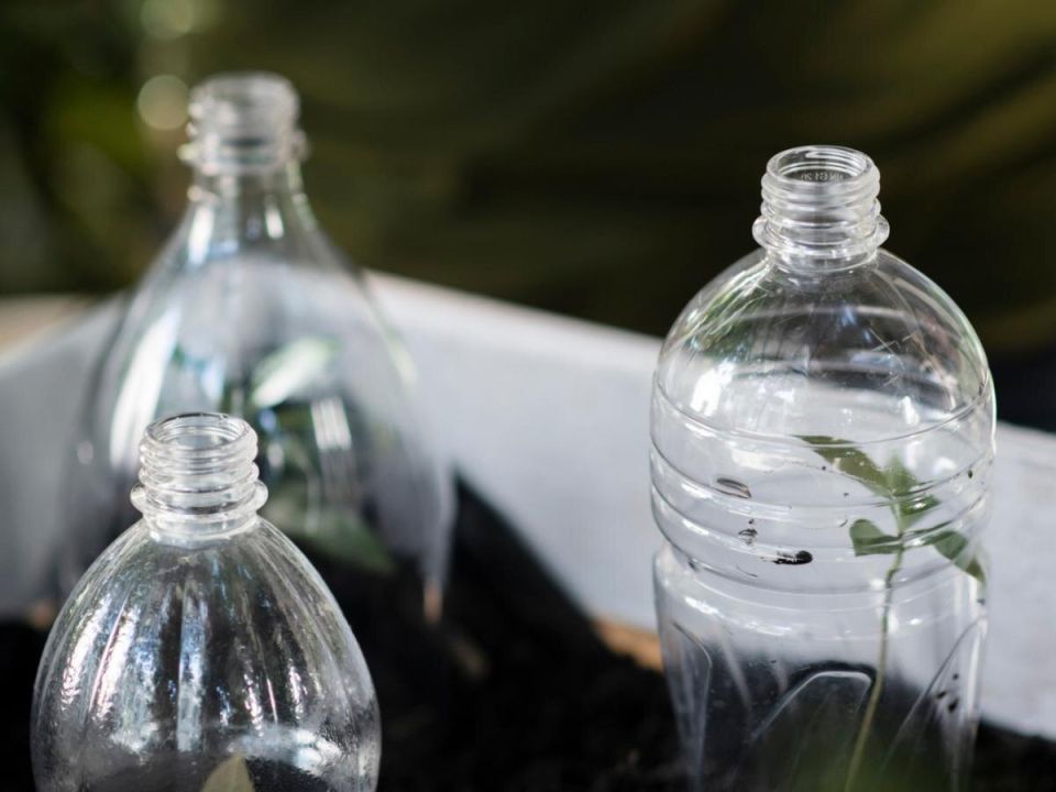 выращивание растений без забот: как бутылочный полив решает проблему увлажнения