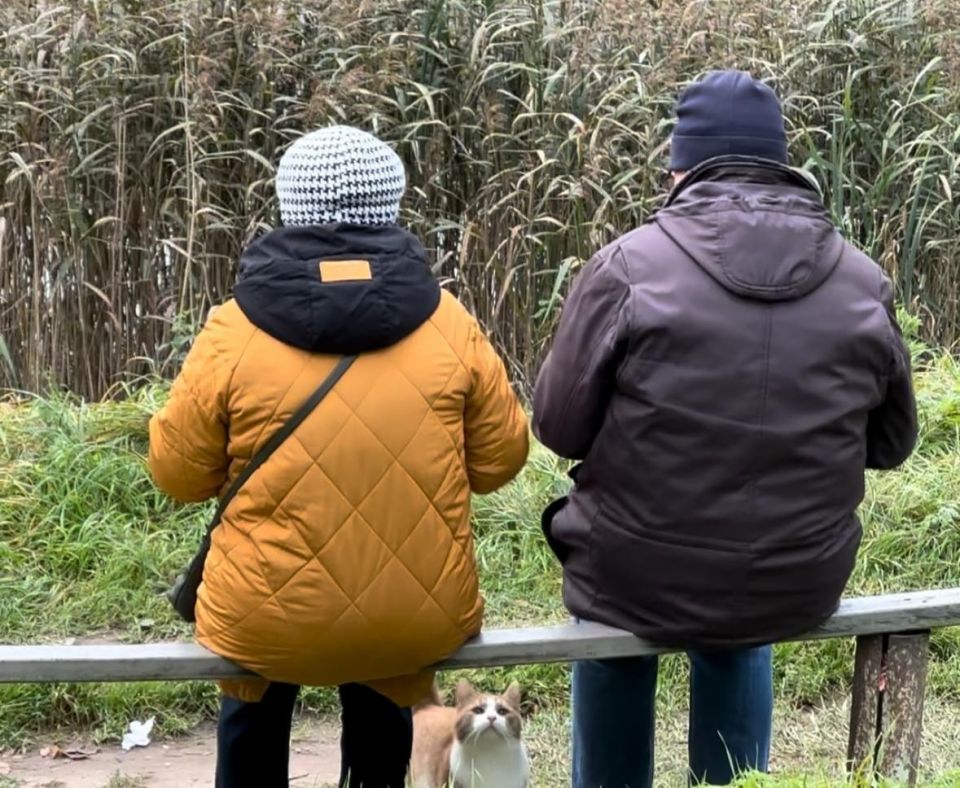 новые возможности для россиян: как оформить досрочную пенсию с 1 февраля 2026 года