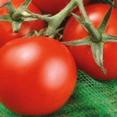 ����� ����� ���: ��������� ����� ��� ������� ������