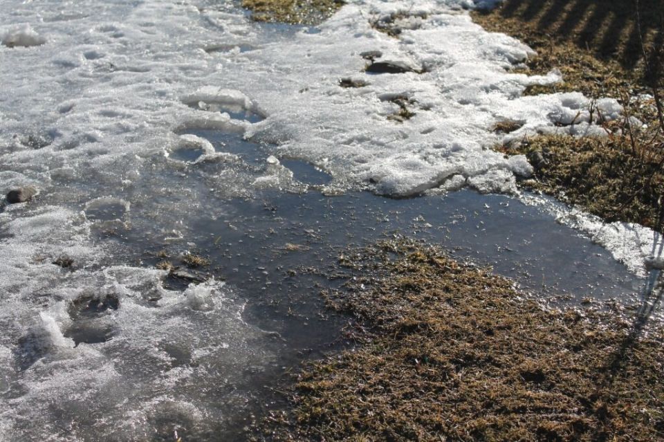 ������� ��� �� �����������: ������������ ������ � ������������