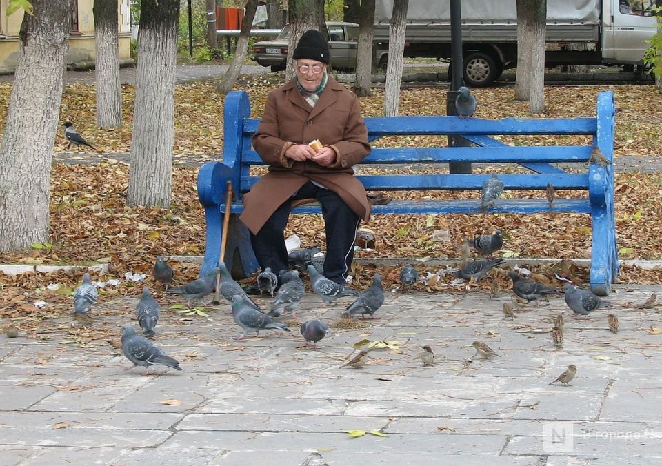 Новый порядок выхода на пенсию в Нижнем Новгороде: кто сможет сделать это досрочно в 2026 году