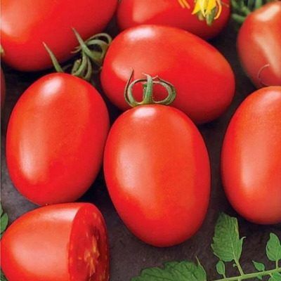 ����� ���� ������: ������� ����� � ������������ � ������� �������� �������