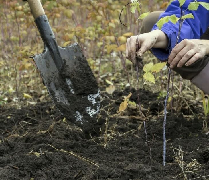 ������� ����� � ����: ��� �������� � ������ ������� � ��� ��� �������� ������