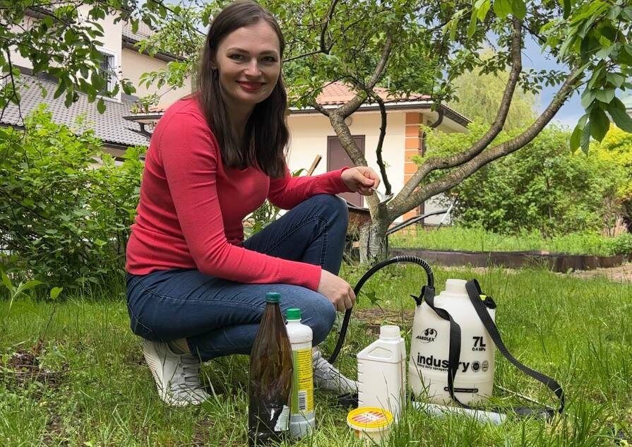 ������ ������� ��������: ��������� ���������� ������ ������� � ���������� ����