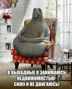    ?.         