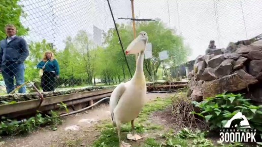     :      