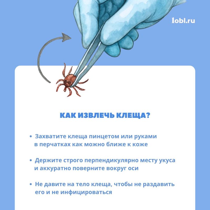  ,   ?