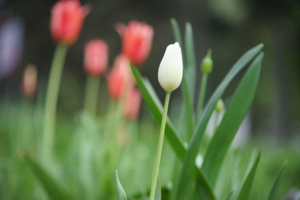  , !.  , 19 