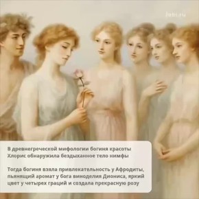  ,  .    ,    