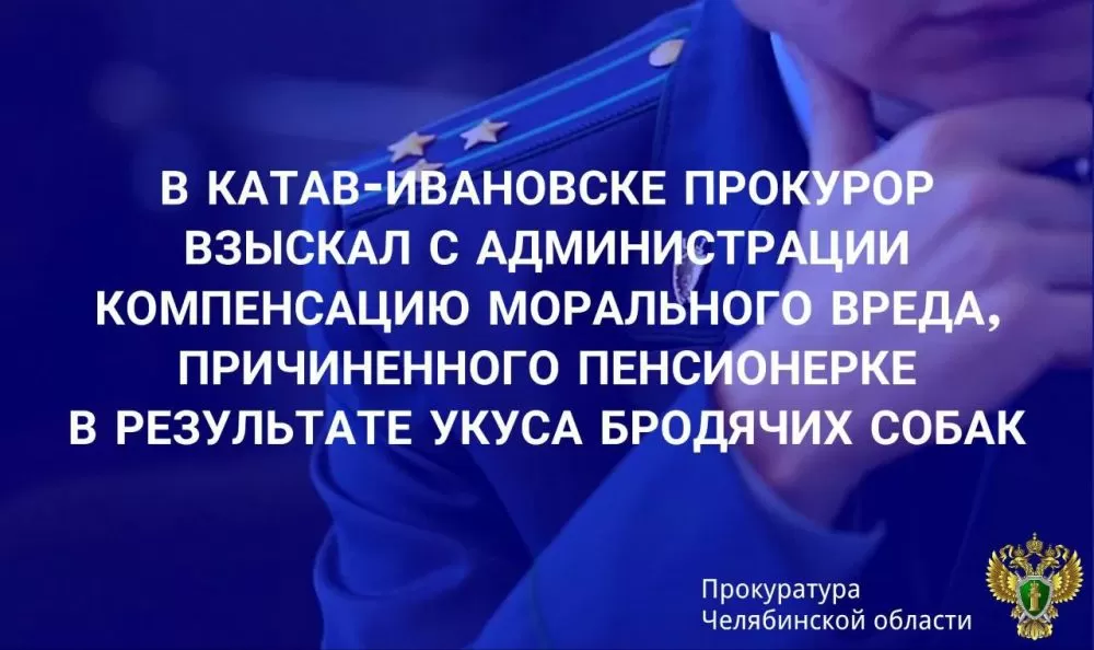 Катав-Ивановская городская прокуратура провела проверку исполнения законодательства об ответственном обращении с животными и об общих принципах организации местного самоуправления