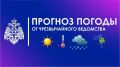 Погоду в Челябинской области 24 мая будет определять атмосферный фронт высокого давления