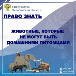 Правительство Российской Федерации утвердило обновленный перечень животных, которые запрещены для содержания их в качестве домашних питомцев