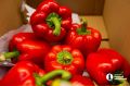 Погода сегодня, 29 мая, в Челябинске и области