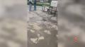В Кусе сотрудники полиции задержали мужчину, вымогавшего у местного жителя 100 тысяч рублей