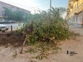 На улице Свободы в Челябинске спилили старые деревья