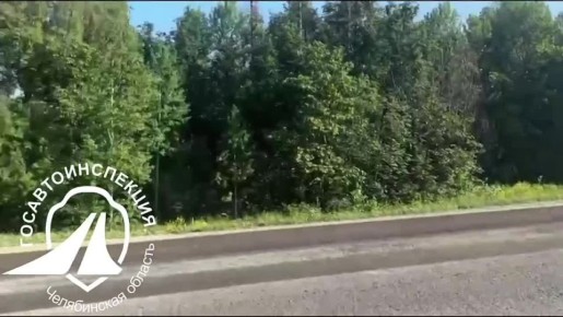 Сотрудники Госавтоинспекции оказывают содействие дорожным службам