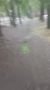 «На дороге метр воды. У меня рост 1,83 метра. Наполовину скрывает»
