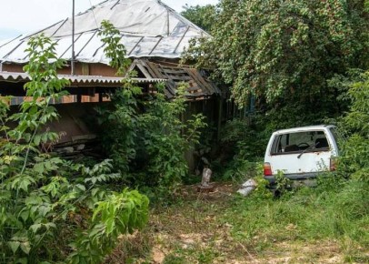 В Челябинске изымут садовые участки за траву в метр высотой